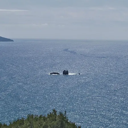 Apartment Luxury Loft With Pool Corfu *