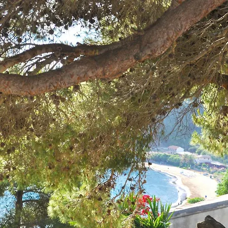 Luxury Loft With Pool Corfu Appartamento